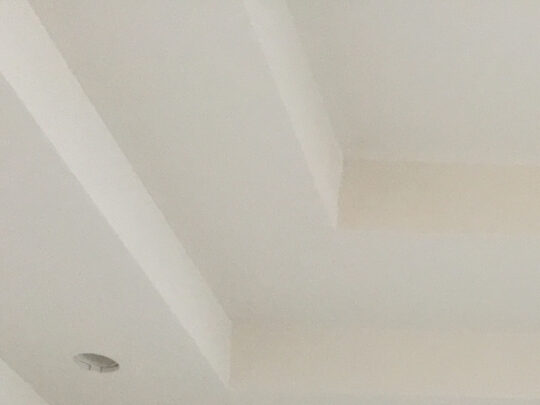 Smooth Ceiling Finish-Wellington Pro Painters & Popcorn Removal